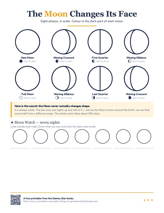 Moon phases coloring sheet showing eight phases of the moon to color in